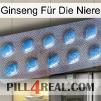 Ginseng Für Die Niere viagra3